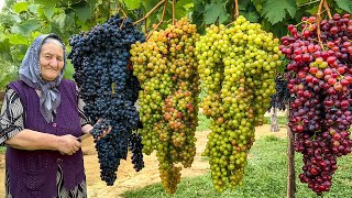 Grandma’s Harvests: Turning All the Grapes from the Garden into Tasty Jam!
