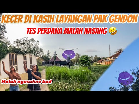 Kecer di kasih layangan pak gendon malah nyusahne