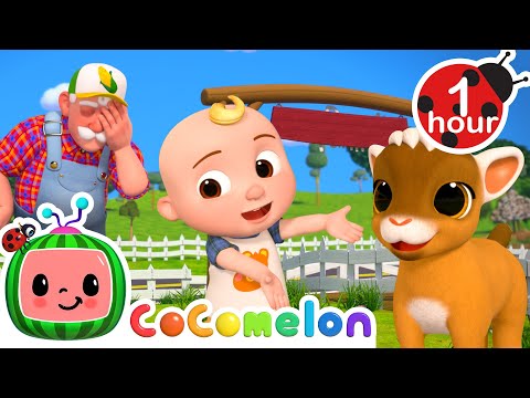 The Great Baby Animal Escape! 🐥 | CoComelon | Nursery Rhymes for Babies