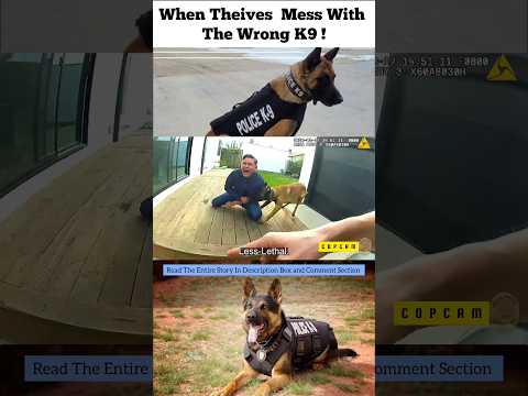 When Theives Mess With The Wrong K9 ! #police #news #usa