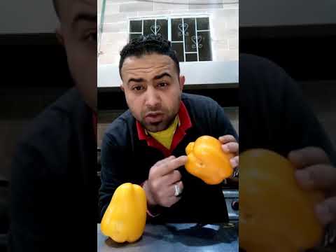 #shorts الفرق بين الفلفل الذكر والانسه شوفوه صندق الوصف #سلطان_مصر