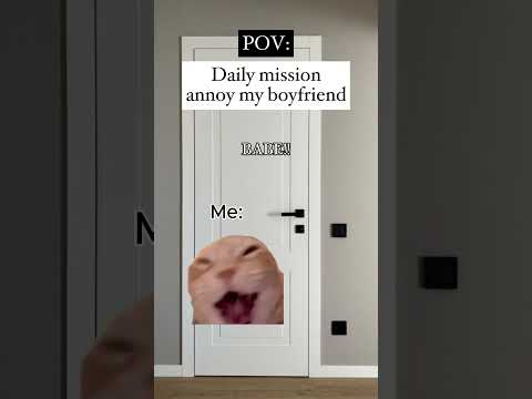 Pov: Annoying my boyfriend couple girlfriend cat meme memes #catmemes #boyfriend #couples #funnycats