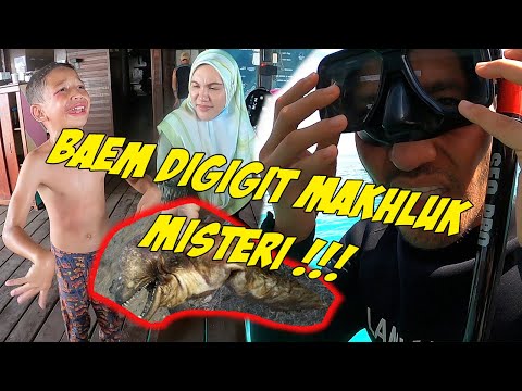 "MAKHLUK MISTERI" Baem Digigit Di Pulau Persendirian !!! - TV Terlajak Laris