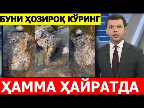 Аллоҳнинг Қудратига Қаранг! ВИДЕОНИ БАРЧАГА ЕТКАЗИНГ...