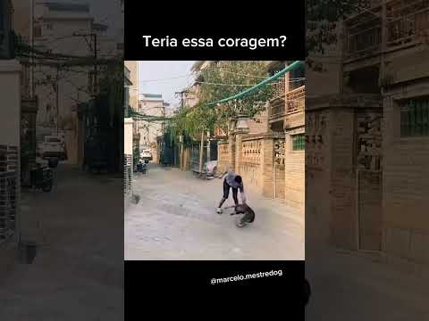Olha o que ele fez com o cachorro #cachorro #dogs #perros #mestredog