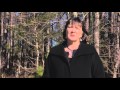 Virginia Forestry Practices and Economics