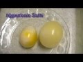 Exploring Egg Osmosis: Hypertonic vs. Hypotonic Solutions