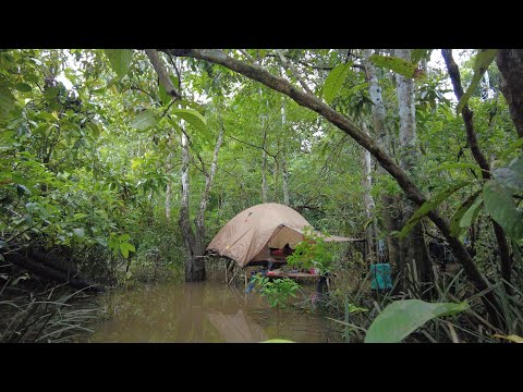 BERMALAM DI RAWA DAN TERPERANGKAPNYA RAJA BAUNG HUTAN SAAT AIR NAIK..