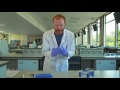 Gel Electrophoresis and CRISPR Applications