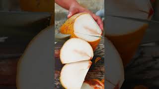 Coconut ASMR Video | Skill Awit TV
