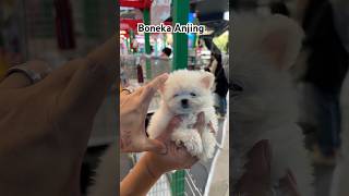 Boneka anjing pakai batere