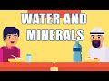 Water and Nutrients in the Body
