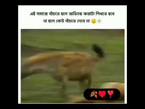 এই সমাজে বাঁচতে হলে অভিনয় করাটা শিখতে হবে... না হলে কেউ বাঁচতে দেবে না 🥺🥺