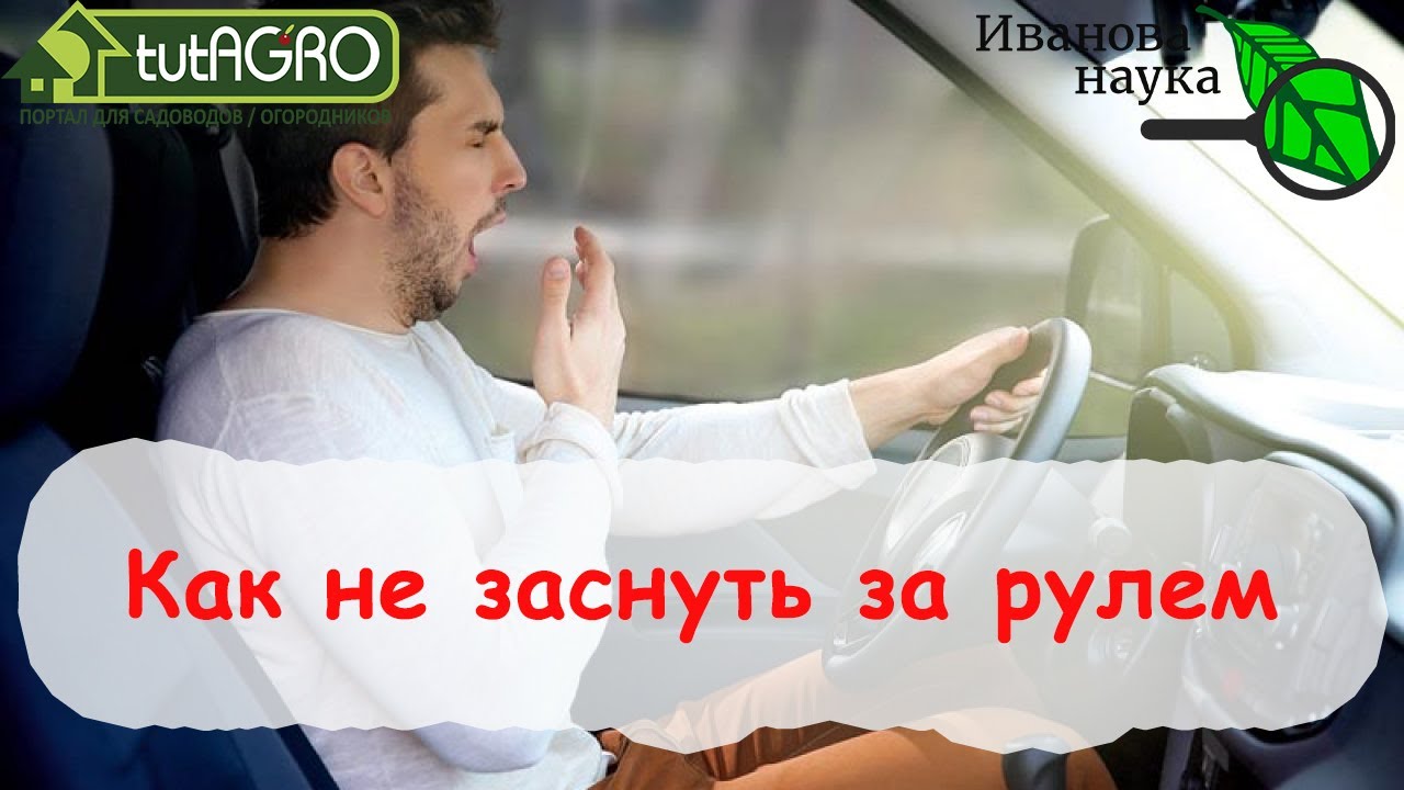 Не спи за рулём! Самый лучший и надежный способ! Как не спать за рулем? Метод гидробудильника.
