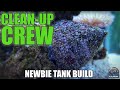 Aquarium Cleanup Crew Knowledge
