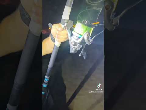 Finish line casting #fishing #surffishing #longcasting #beach #surfcasting #pesca #surfishing #ocean