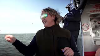 YouTube video thumbnail: Why Great White Sharks Are Vanishing From South Africa's Cape Coast