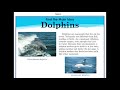 Main Ideas and Supporting Details