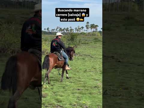 Buscando marrano 🐷cerrero (salvaje) 😱 y esto pasó 😳✍️