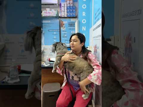 রাত ১১ Doctor দেখাতে ছুটতে হলো 🥺😣🐶💉🩸 #petparents #dog #doglife #doctor #clinic