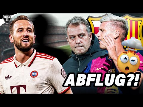 NEUER STÜRMER für BAYERN! VÖLLIG VERRÜCKTER OLMO-TRANSFER! | KickNews