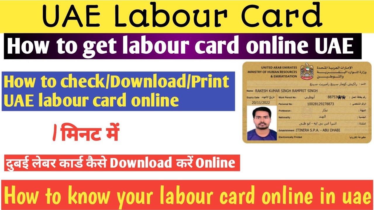 How To Check Labour Card Number With Emirates Id  2024