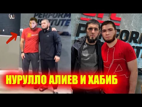 Нурулло Алиев и Хабиб ВСТРЕТИЛИСЬ в офисе UFC. Ислам Махачев против Армана Царукяна. Умар vs Мераб