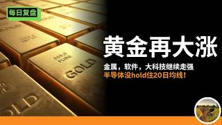 黄金猛涨切记追高死，半导体走弱，软件，大科技继续走强
