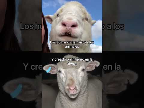 Se merecen otro planeta, sin nosotros