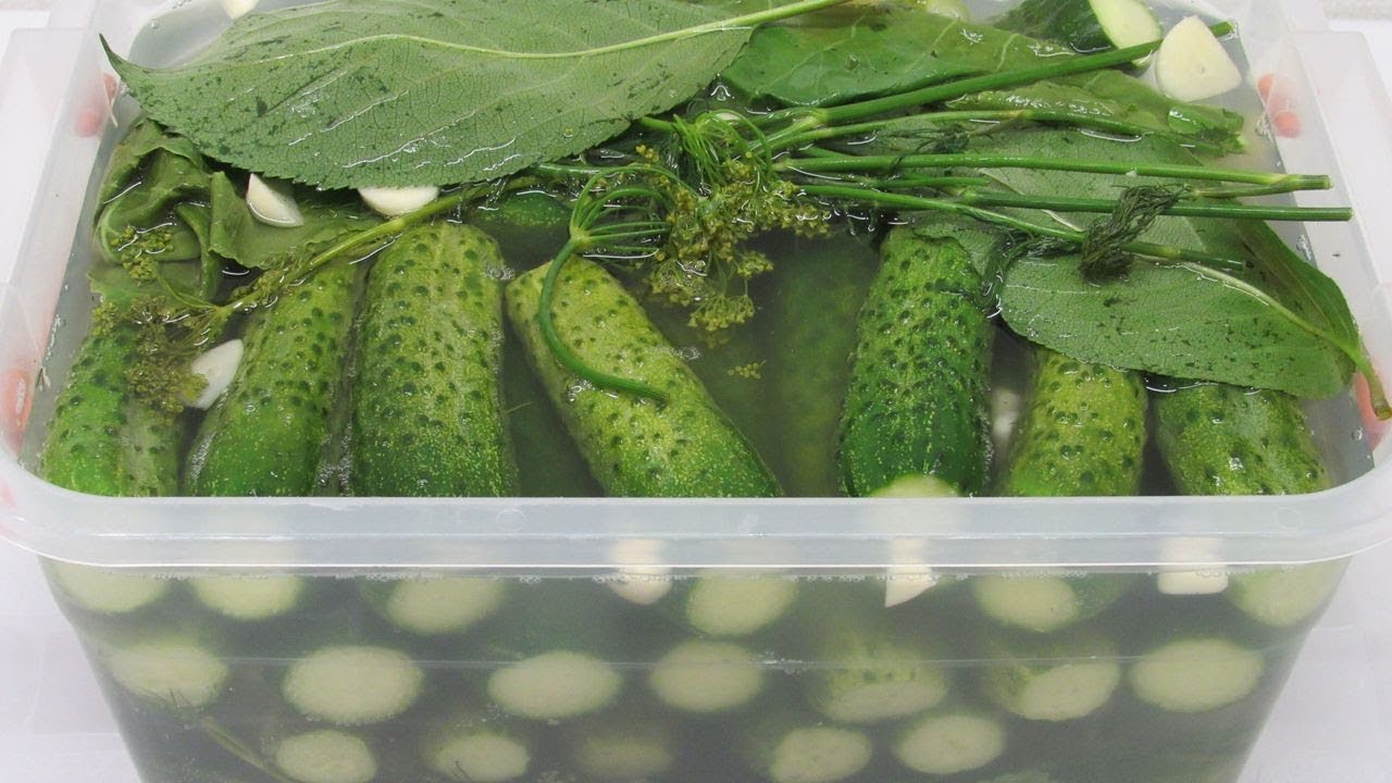 Такие огурцы улетают со стола в один миг вкуснятина всего за сутки