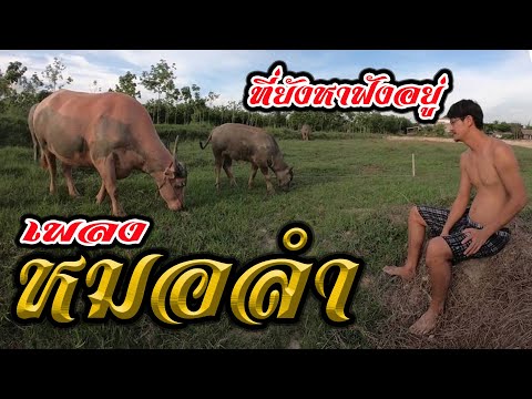 เพลงหมอลำ ที่ยังหาฟังอยู่