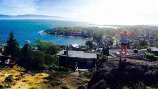 CHELSEA GREEN Live Stream