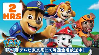 パウ・パトロール | パウ・パトロール シーズン2 ベストレスキュー！🐾｜120分 | テレビ東京系にて放送中