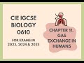 Respiratory System Functions and Processes