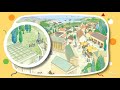 Città-Stato e Civiltà Greca