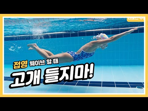 [접영 기초] 접영 웨이브 할 때 고개들지마세요!🥺