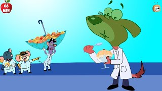 Don's Tasty Invention: Dog vs Rats | Doggy Don | Rat A Tat | BEST CARTOON COLLECTION | Chotoonz TV
