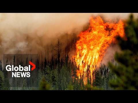 YouTube video thumbnail: Planning for Wildfires: A Closer Look at Fire Patterns in Canada Amid Calls for More Prevention