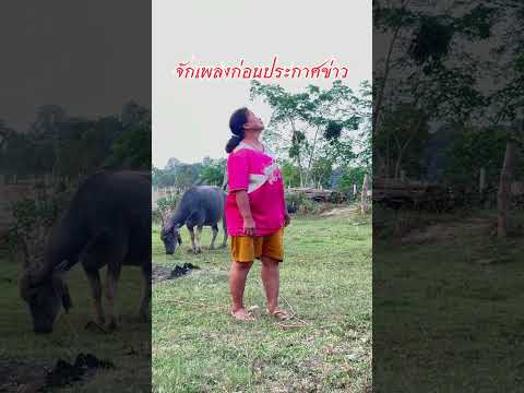 จักเพลงก่อนประกาศ #ผู้ใหญ่บ้านสายฮา #youtubeshorts