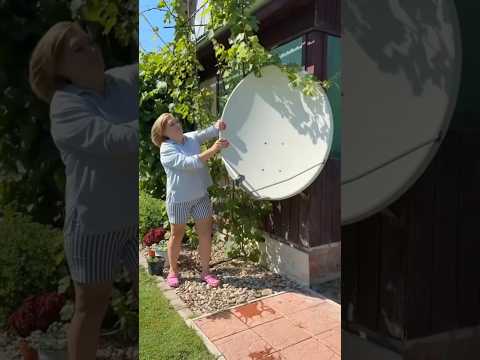 Как вам такая идея домашнего фонтана 😊 #садоводничество #лайфхаки #лайфхак #советы #сад #огород