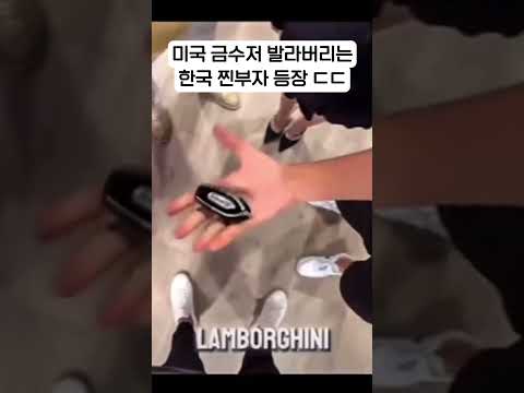 미국 그냥 발라버리네 ㄷㄷ #shorts #금수저 #부자 #유머