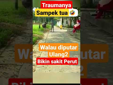 Trauma nya Sampek tua