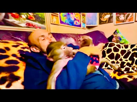 Мы проводим эксперимент, будет ли Степка кусаться, если его ВООБЩЕ НЕ ТРОГАТЬ!