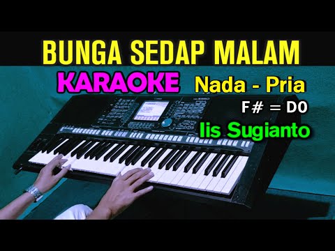 BUNGA SEDAP MALAM - Iis Sugianto | KARAOKE Nada Pria