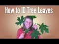 Identifying Trees and Their Features