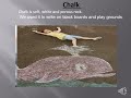 Soil and Rock Properties Assessment