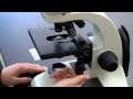 Microscope Setup and Usage Essentials