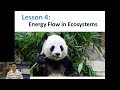 Decomposers and Ecosystem Dynamics