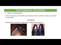 Economic Production and Market Decisions