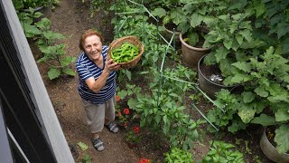 Italian Grandma Makes Fried Italian Peppers